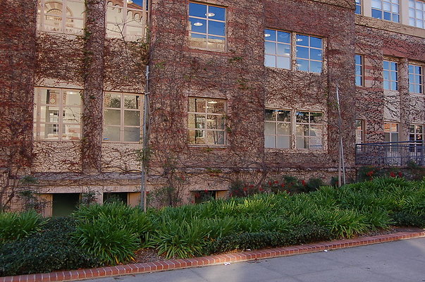 UCLA.Ashe.Bld.Ext.009