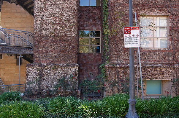 UCLA.Ashe.Bld.Ext.004