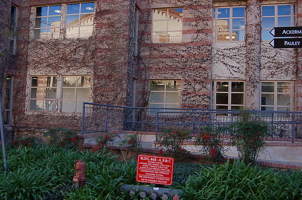 UCLA.Ashe.Bld.Ext.010