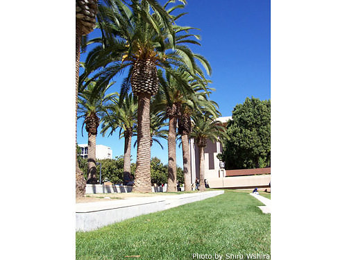 oviatt-lawn3