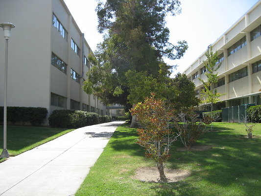 CSUN.Campus.102