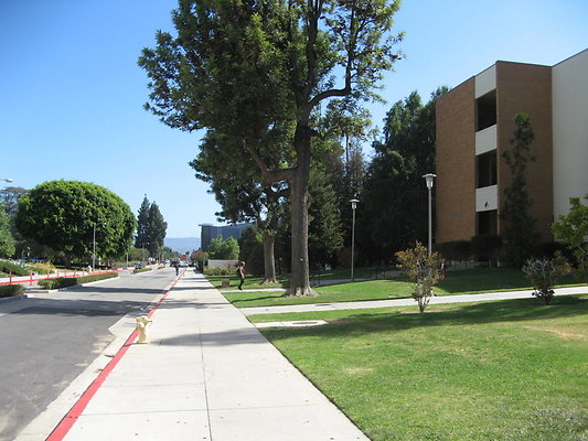CSUN.Campus.108