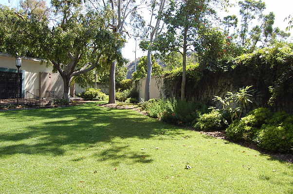 DSC 0390