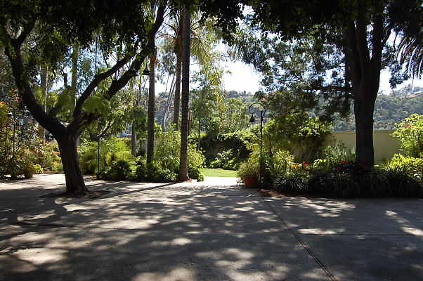 DSC 0388