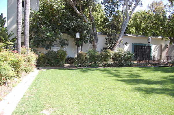 DSC 0389