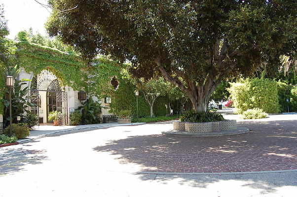 DSC 0379a