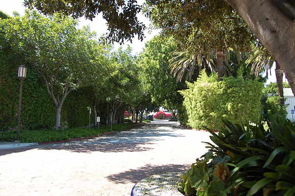 DSC 0377