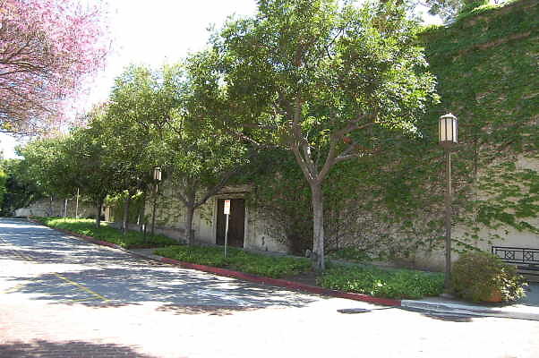 DSC 0375