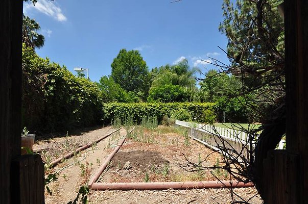 2618 garden3