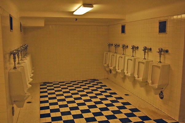 Bowl bathroom