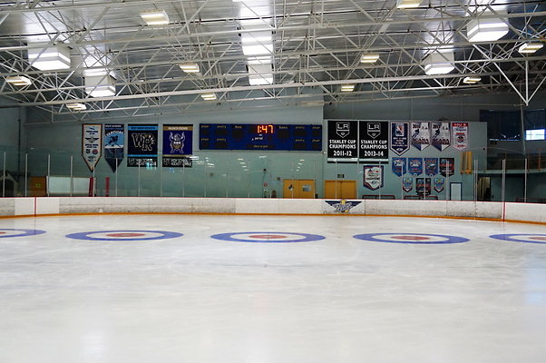 Ice.Station.NHL.Ice.44