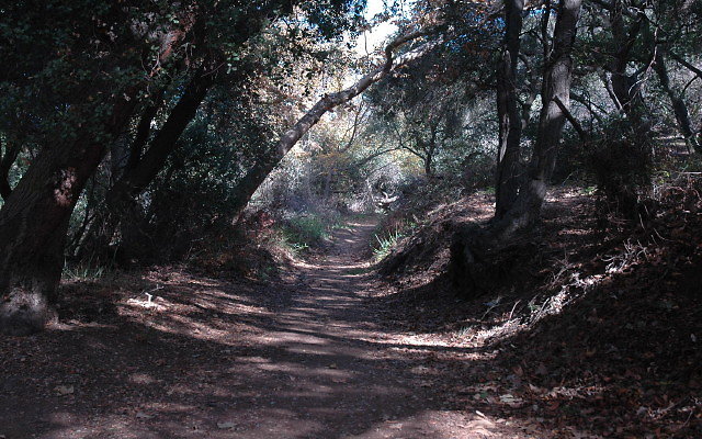 DSC 0069