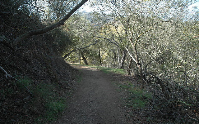 DSC 0092