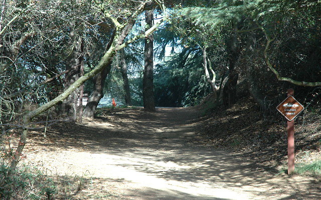 DSC 0095