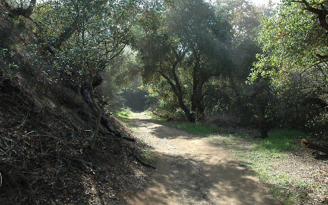 DSC 0100