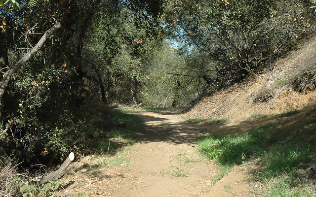 DSC 0084