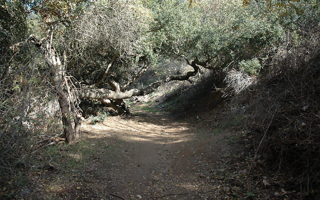 DSC 0076