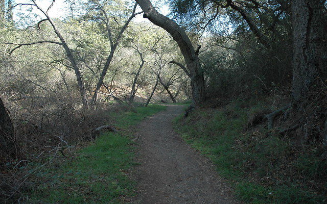 DSC 0091