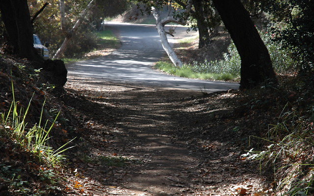 DSC 0074