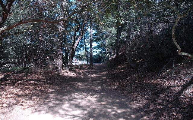 DSC 0098