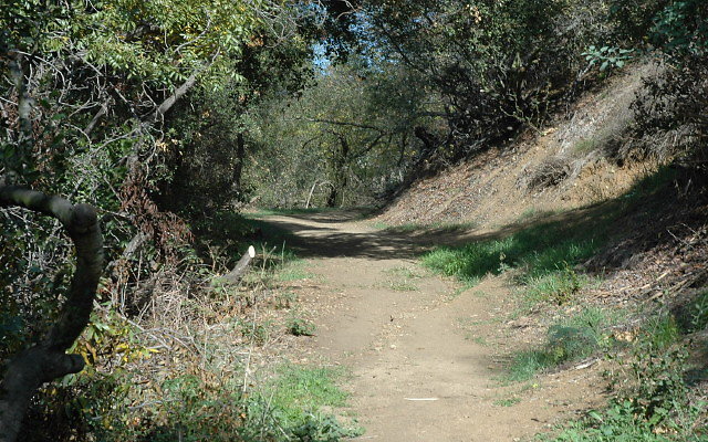 DSC 0079