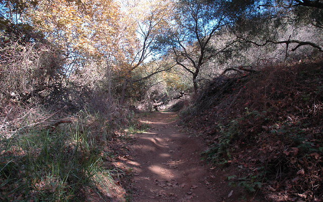 DSC 0073