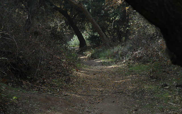 DSC 0082