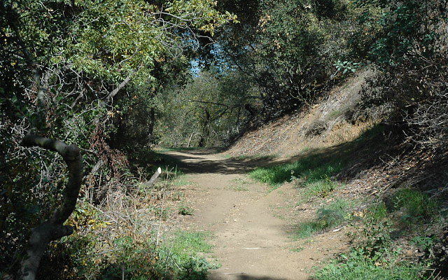 DSC 0080