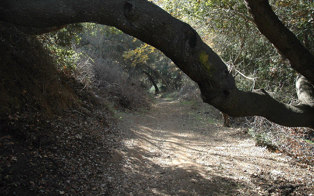 DSC 0081