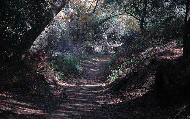 DSC 0068