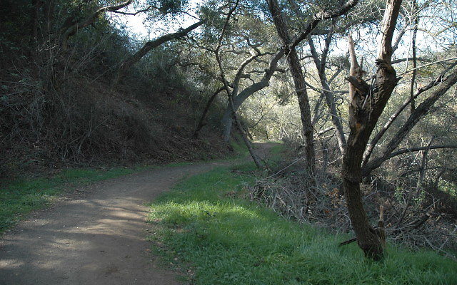 DSC 0097
