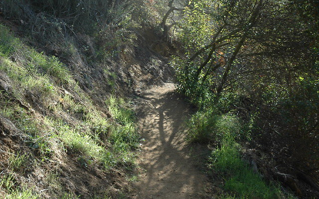 DSC 0085