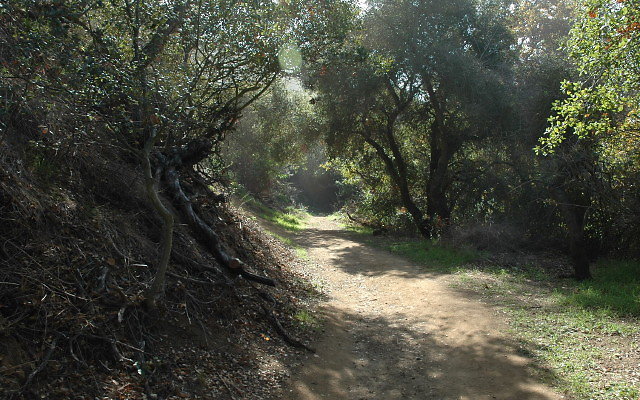 DSC 0101