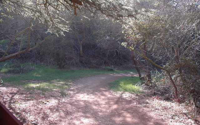 DSC 0099