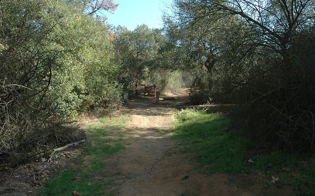 DSC 0102