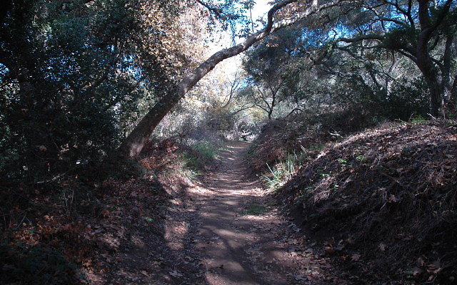 DSC 0070