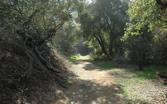 DSC 0089