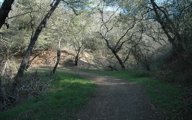 DSC 0093