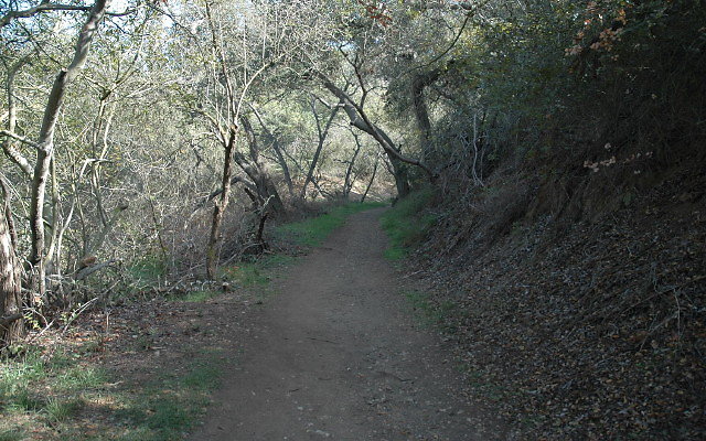 DSC 0090