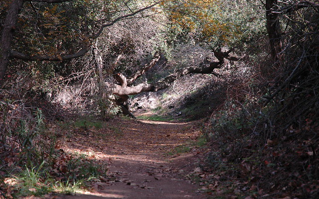 DSC 0072