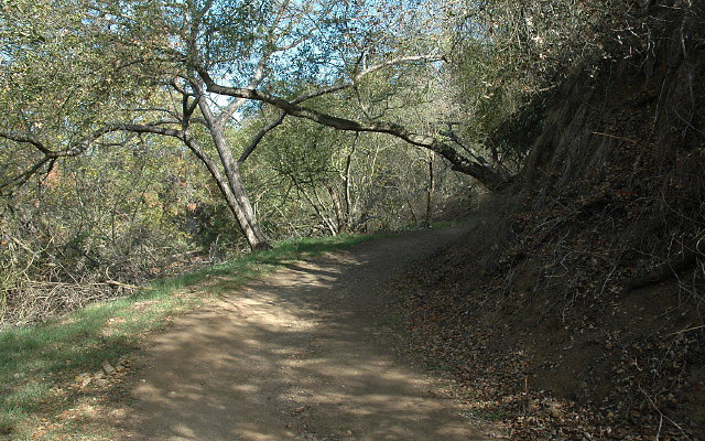 DSC 0088