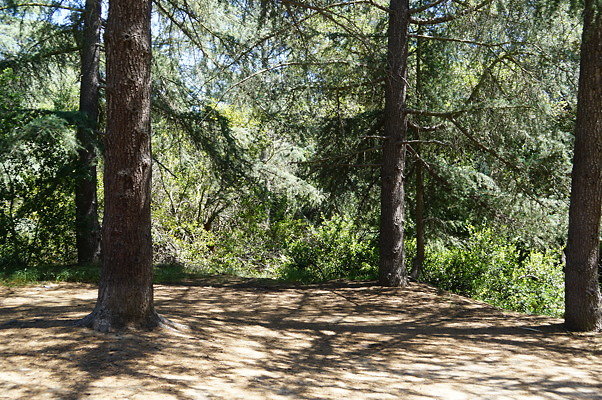 Camp.Franklin.Lake.05