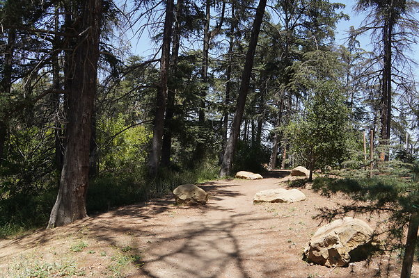 Cedar Grove.GP.076