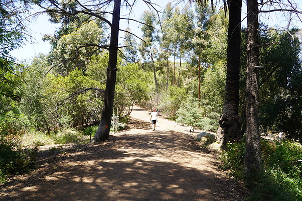 Cedar Grove.GP.090