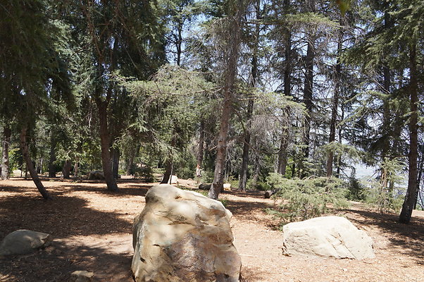 Cedar Grove.GP.062