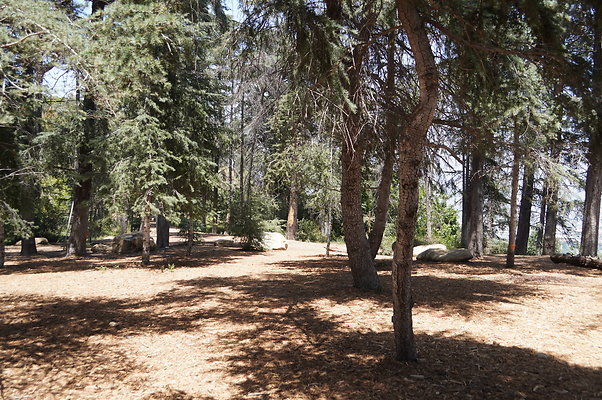 Cedar Grove.GP.065