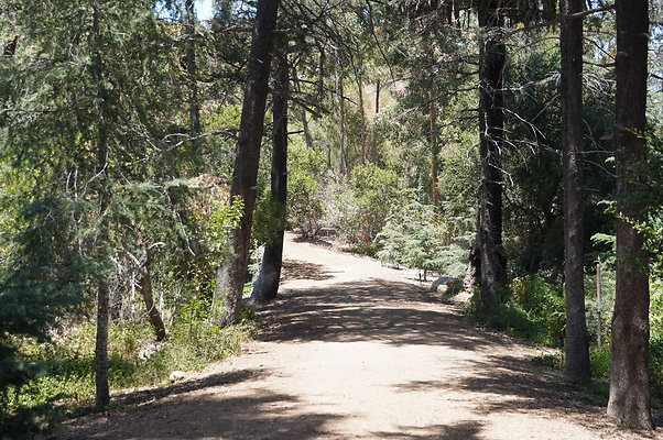 Cedar Grove.GP.088