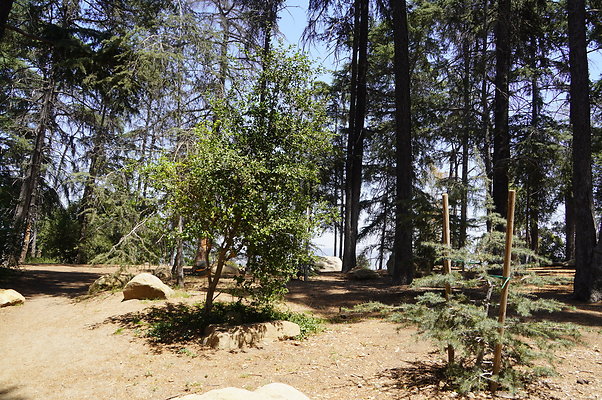 Cedar Grove.GP.078