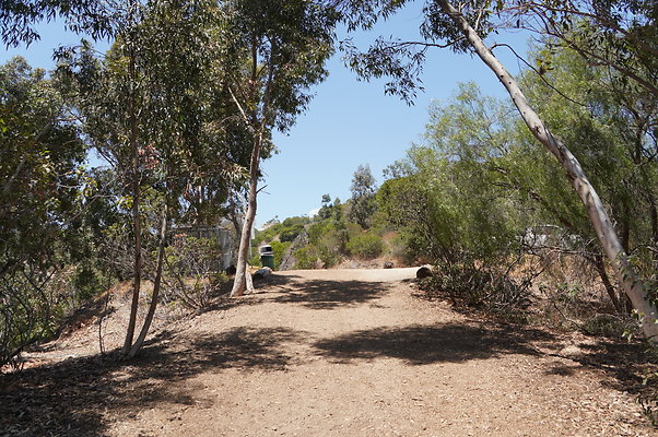 Cedar Grove.GP.093