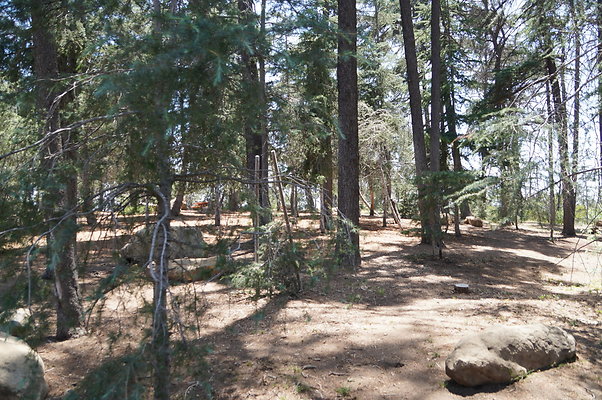 Cedar Grove.GP.084